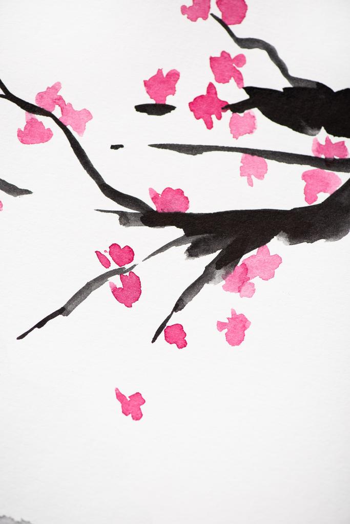 Японський живопис з гілками Сакури з квітами на білому тлі. - Фото, зображення