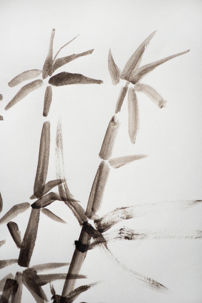 Japonská malba s bambusem na bílém pozadí - Fotografie, Obrázek