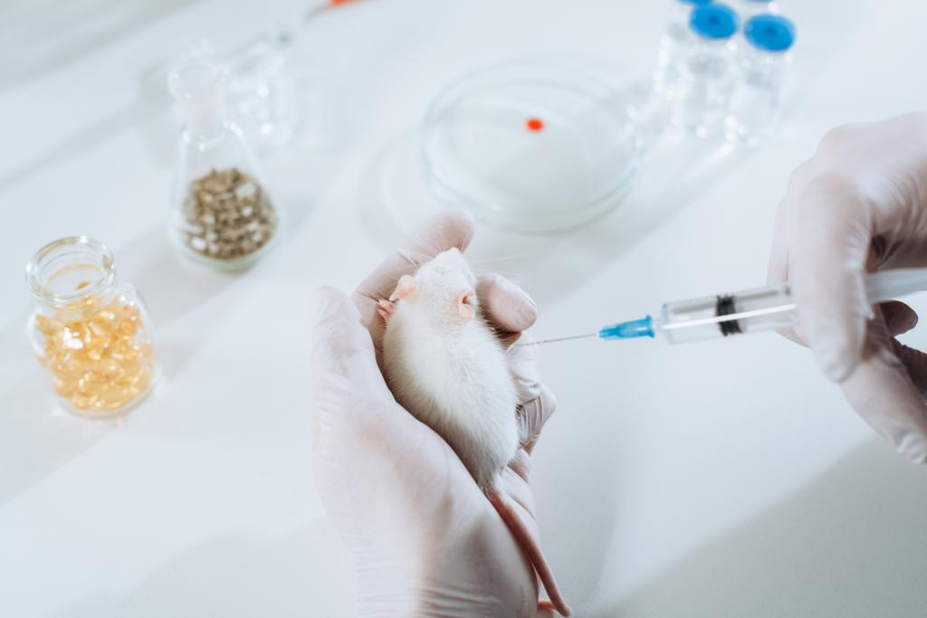 vista parcial del veterinario en guantes de látex que sostiene la jeringa cerca del ratón blanco - Foto, Imagen