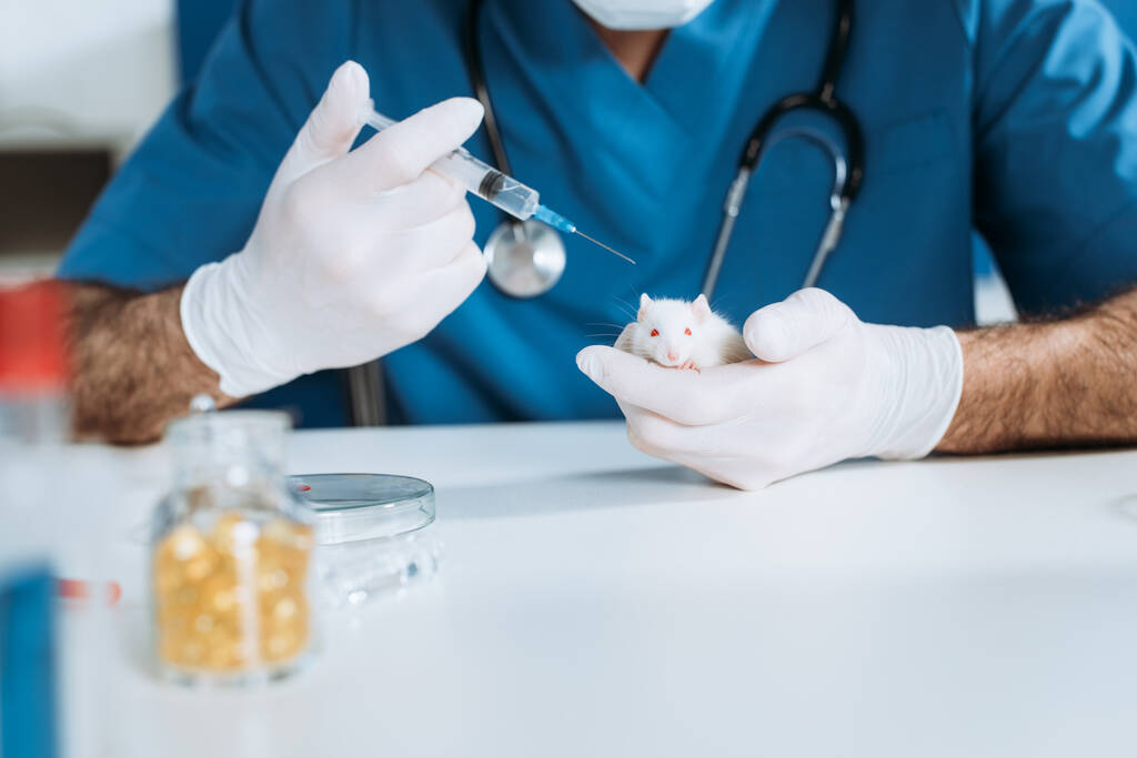 vue partielle du vétérinaire dans des gants en latex tenant la seringue avec le vaccin près de la souris blanche
 - Photo, image