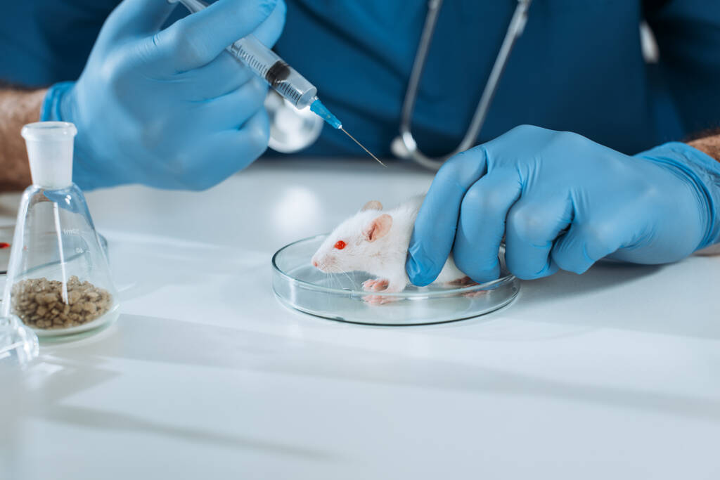 обрезанный вид ветеринара в резиновых перчатках, держащего шприц с вакциной возле белой мыши в чашке Петри
 - Фото, изображение