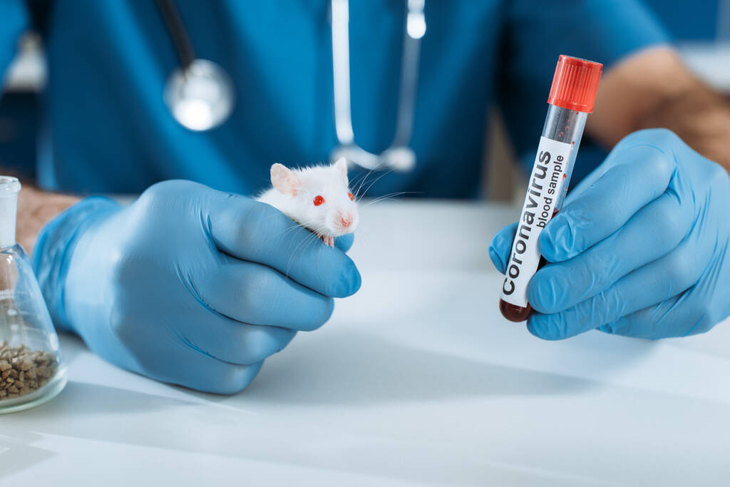 Teilansicht des Tierarztes in Latexhandschuhen mit weißer Maus und Reagenzglas mit Coronavirus-Inschrift - Foto, Bild