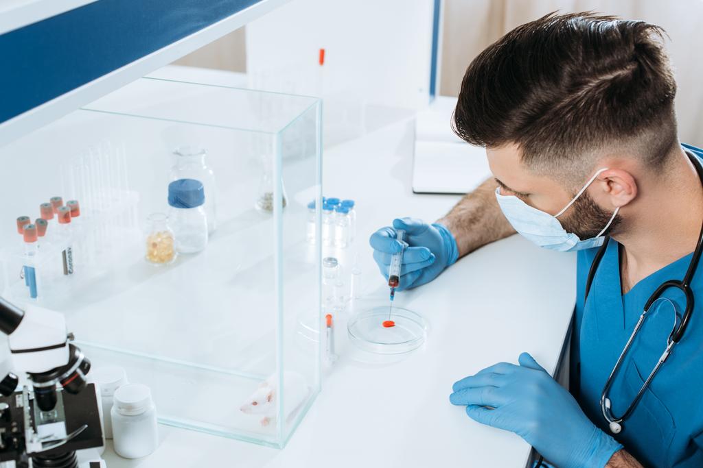 high angle view of veterinarian in medical mask and latex gloves holding syringe near petri dish with blood sample, and white mouse in glass box - Photo, Image