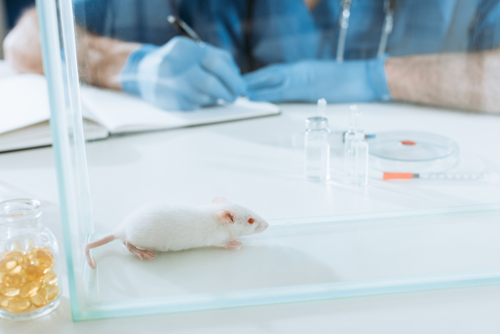 oříznutý pohled na veterinárního lékaře v latexových rukavicích psaných do notebooku u bílé myši ve skleněné krabici, ampulích a nádobách s léky - Fotografie, Obrázek
