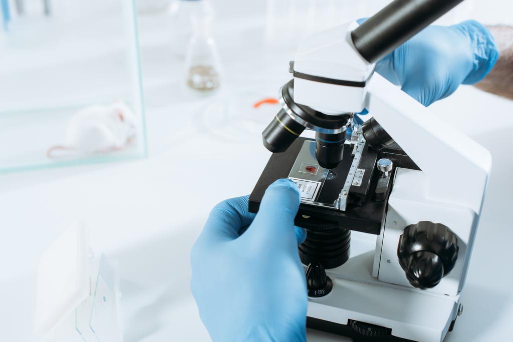 vista recortada de biólogo en guantes de látex haciendo análisis con microscopio cerca de ratón blanco en caja de vidrio
 - Foto, Imagen