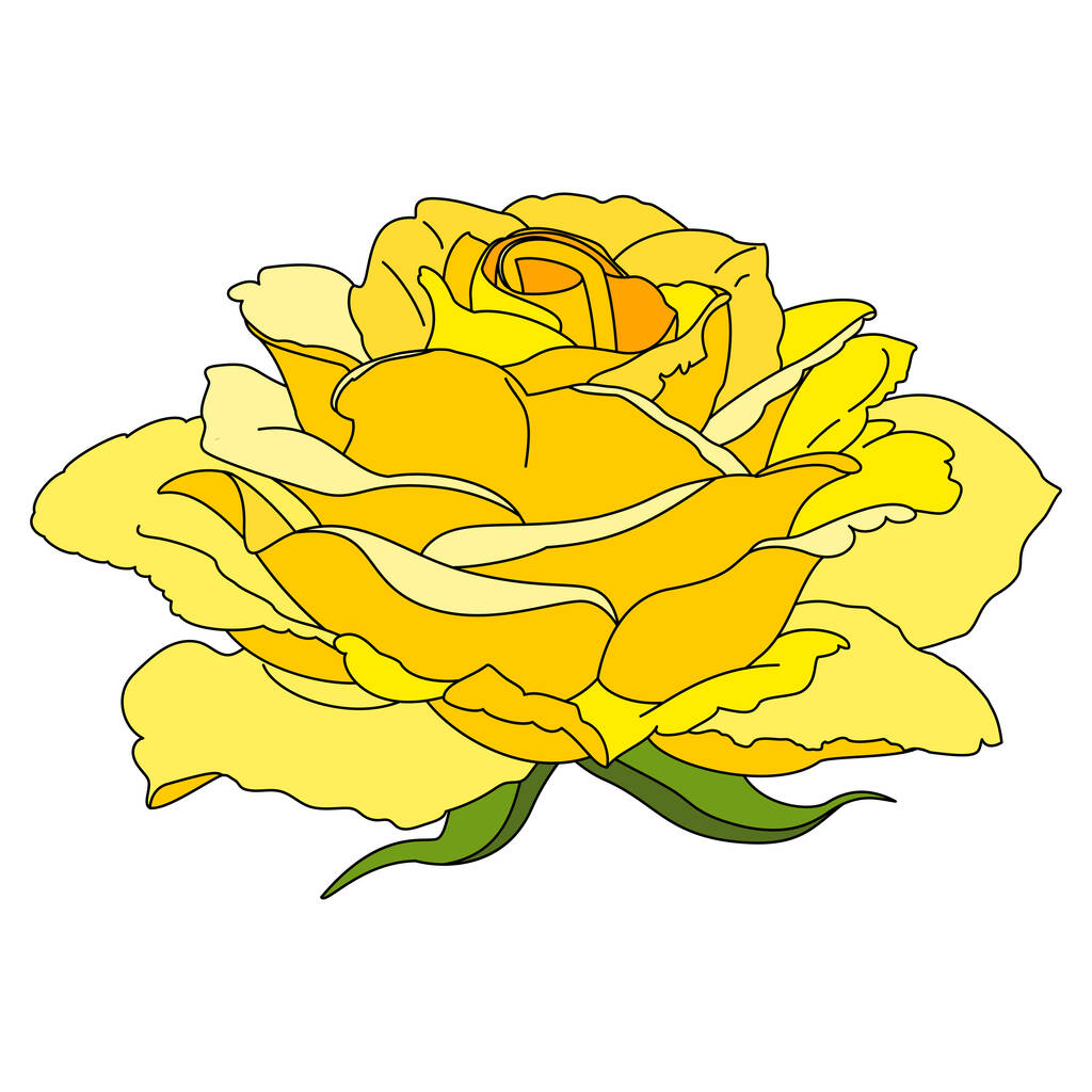 vektor rózsa virág klip művészet fehér elszigetelt háttér - Vektor, kép