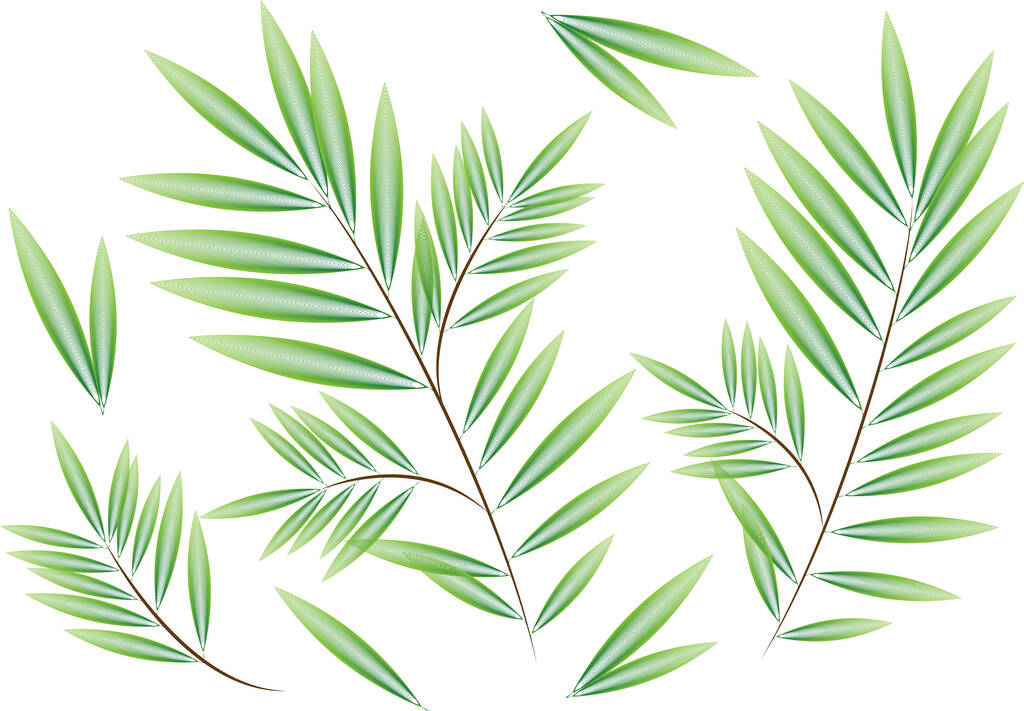 vrbové větve koláž vektor ilustrace květinových prvků - Vektor, obrázek