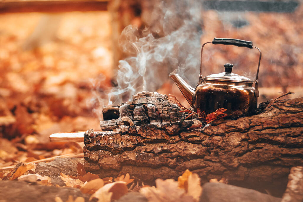 Copa para tee en fuego natural en el bosque
 - Foto, Imagen