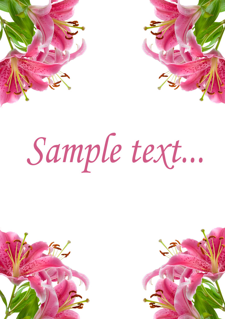 frame van roze lelies - Foto, afbeelding