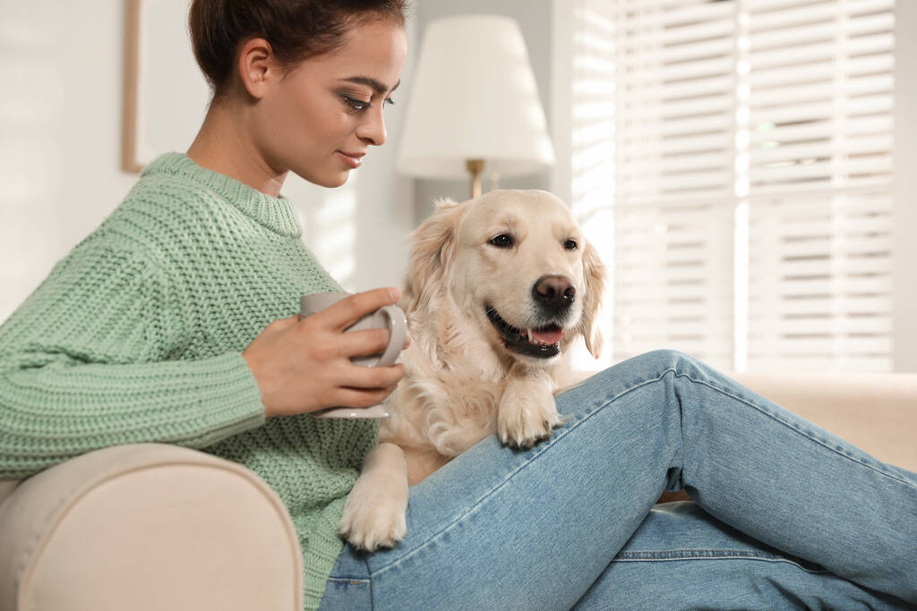 Young woman with cup of drink and her Golden Retriever on sofa at home. Adorable pet - Photo, Image