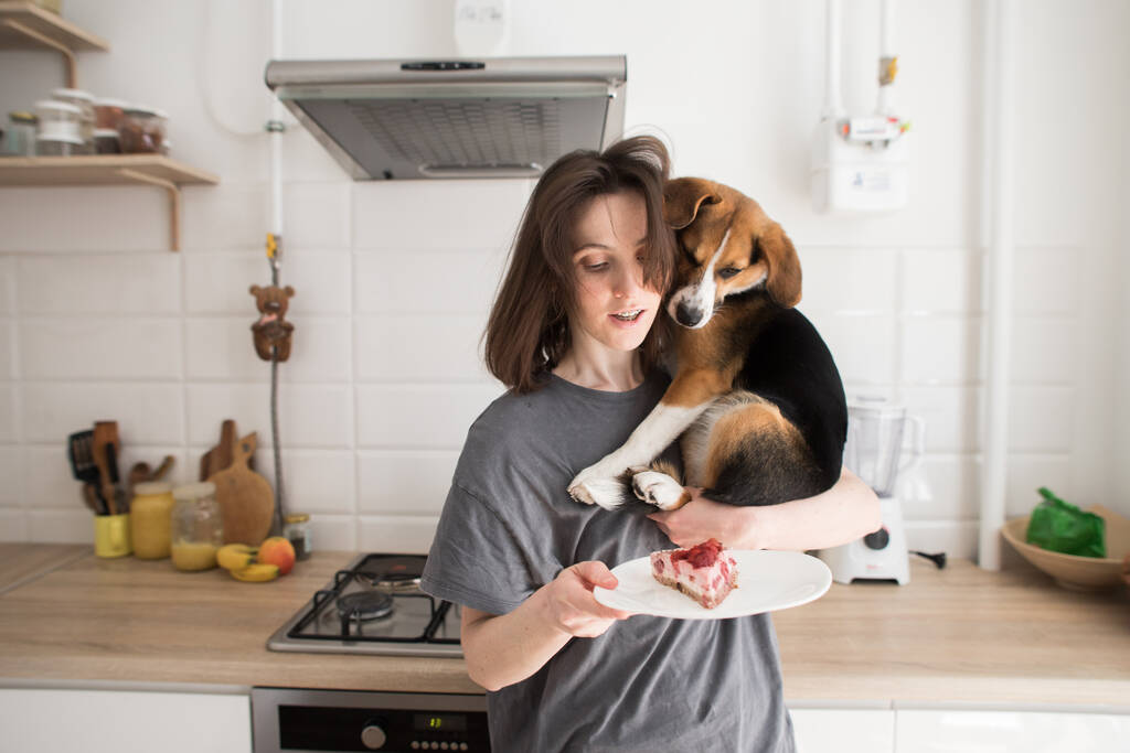 Девушка с собакой на уютной кухне собирается съесть торт
 - Фото, изображение