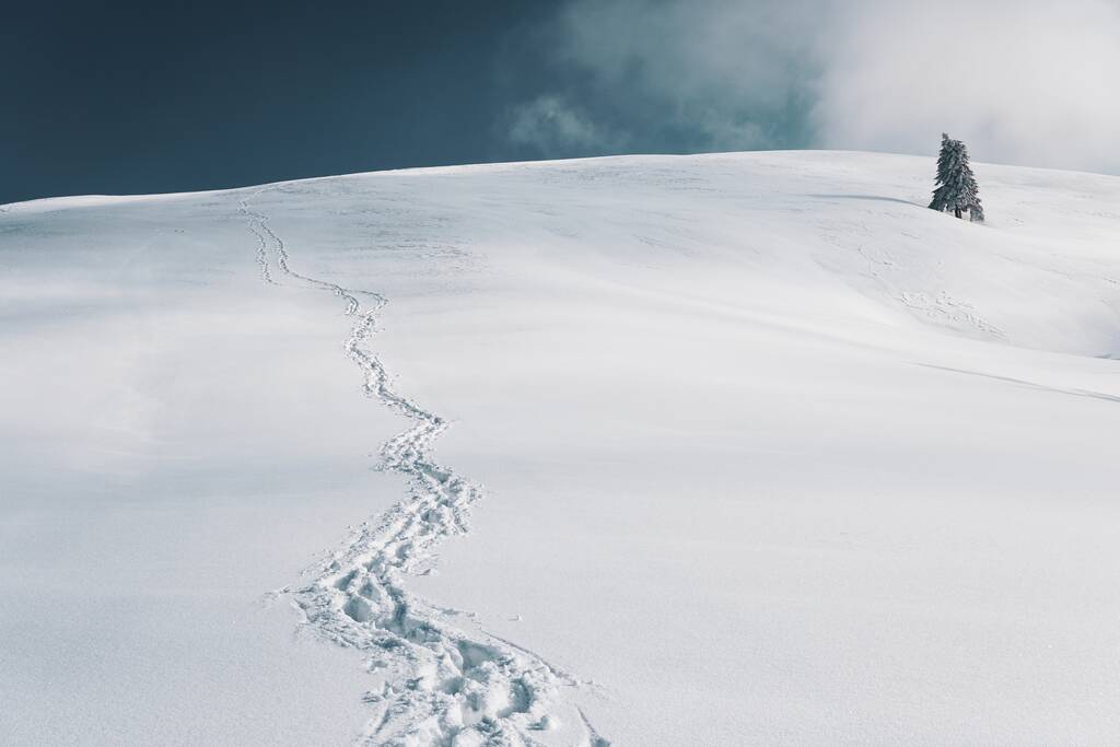 Piękne ujęcie śnieżnego krajobrazu ze śladami stóp w śniegu pod błękitnym niebem - Zdjęcie, obraz