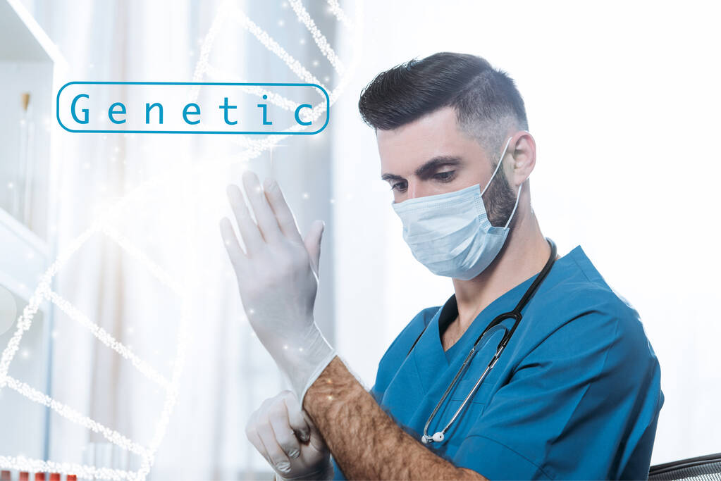młody lekarz w masce medycznej zakładanie rękawic ochronnych lateksowych, ilustracja genetyczna - Zdjęcie, obraz