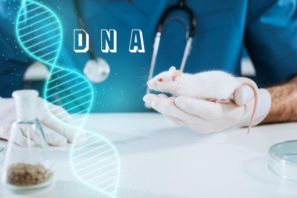 vista recortada del veterinario en guantes de látex con ratón blanco, ilustración de ADN
 - Foto, imagen