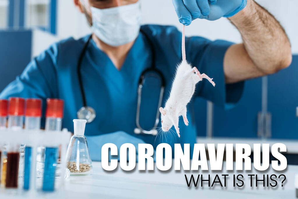 selective focus of veterinarian in medical mask and latex gloves holding white mouse by tail near test tubes, coronavirus illustration - Photo, Image