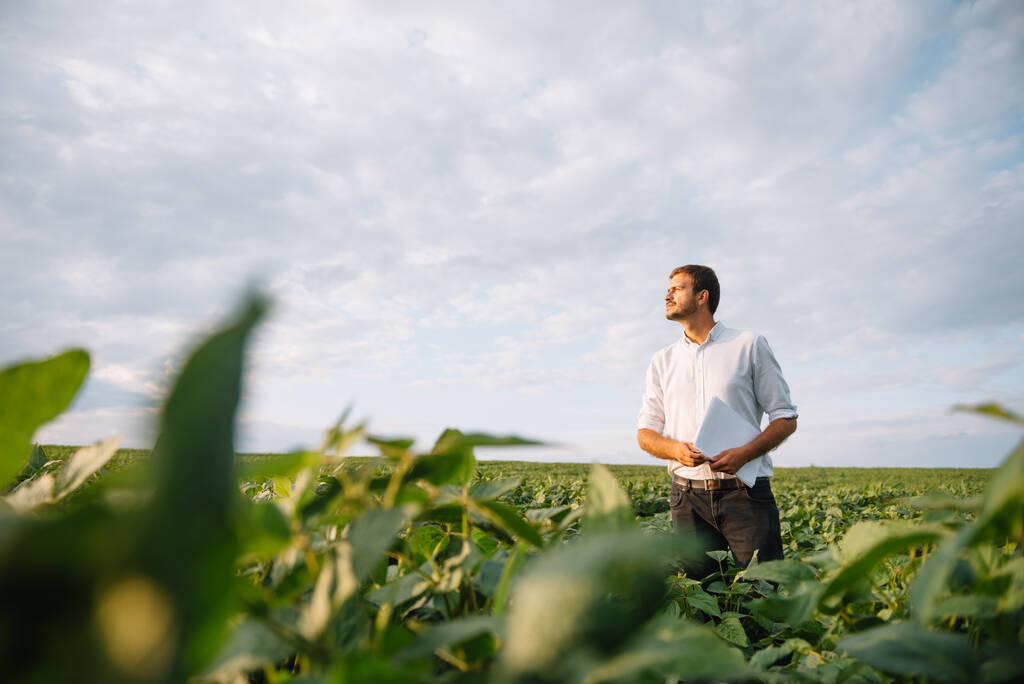 Porträt eines jungen Bauern auf einem Sojabohnenfeld. - Foto, Bild