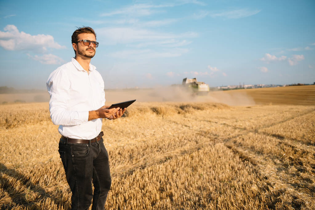 Szczęśliwy rolnik na polu sprawdzanie roślin kukurydzy w słoneczny letni dzień, rolnictwo i koncepcja produkcji żywności - Zdjęcie, obraz