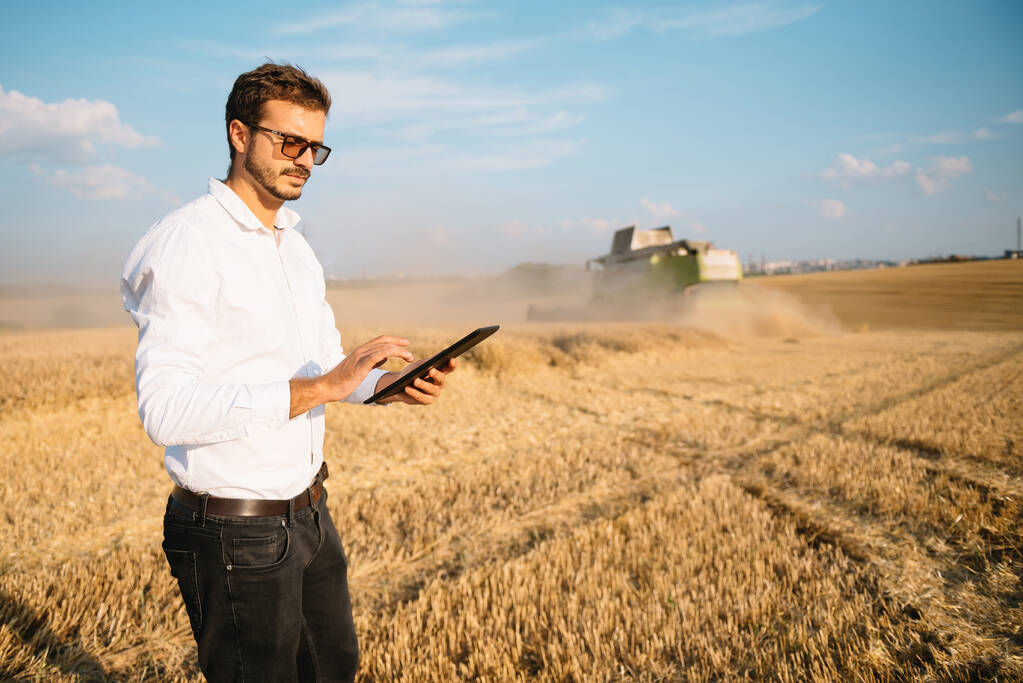 Szczęśliwy rolnik na polu sprawdzanie roślin kukurydzy w słoneczny letni dzień, rolnictwo i koncepcja produkcji żywności - Zdjęcie, obraz