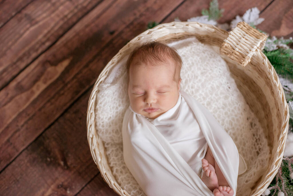 Małe słodkie dziecko w białym kocu w wiklinowym koszu ozdobionym gałązkami igieł i bawełny na drewnianej podłodze. Szczęśliwego macierzyństwa - Zdjęcie, obraz