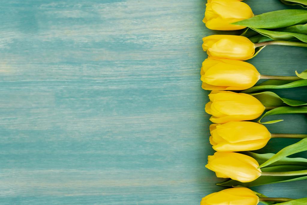 Draufsicht auf gelbe Tulpen auf blau strukturierter Oberfläche, Muttertagskonzept  - Foto, Bild