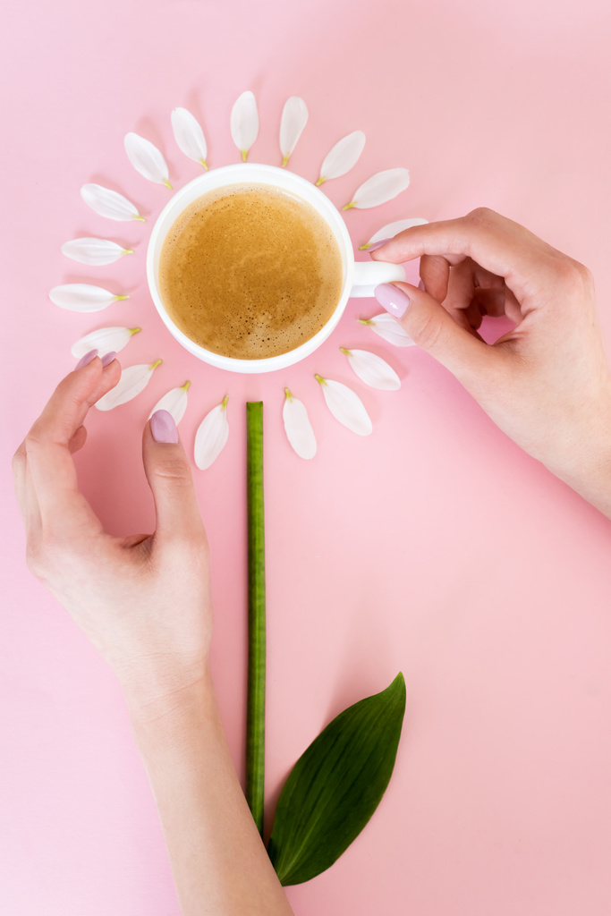 top view of woman touching cup of coffee near white petals on pink, mothers day concept  - Photo, Image