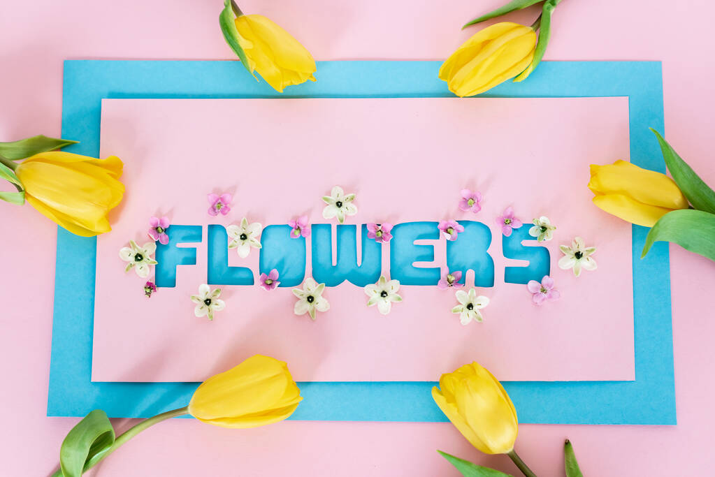 вид сверху на желтые тюльпаны на поздравительной открытке с буквами цветов на розовом и синем
 - Фото, изображение