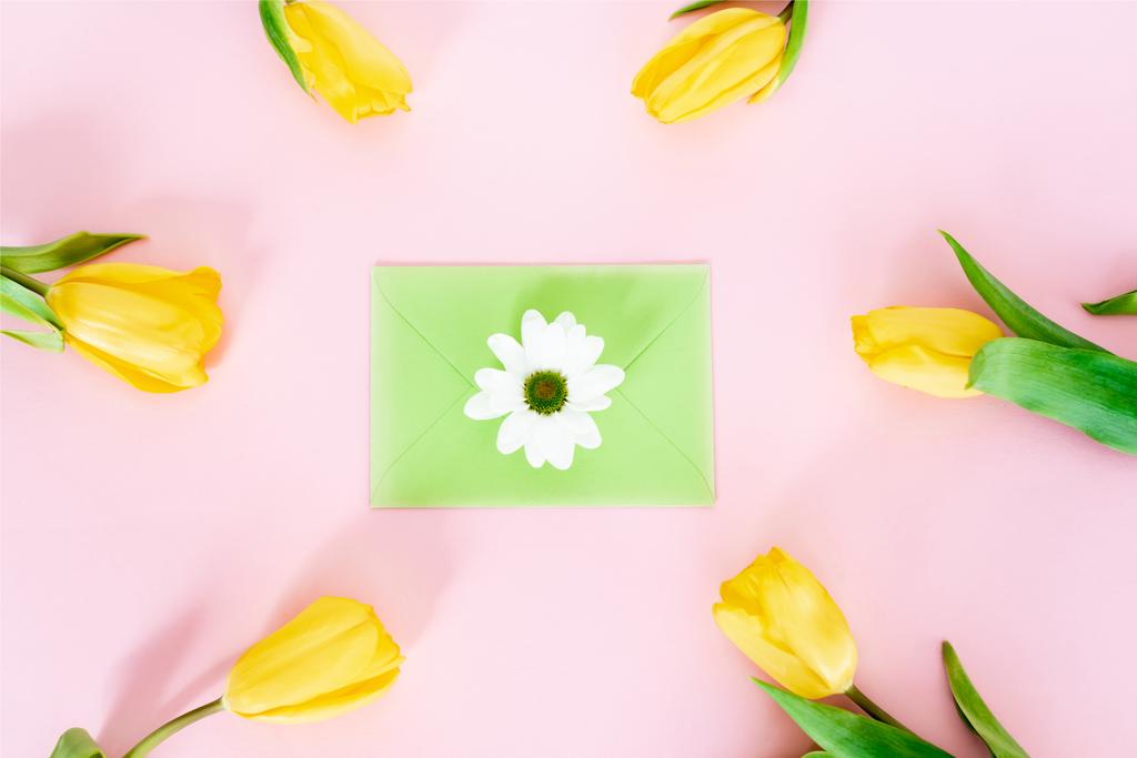 vrchní pohled na zelenou obálku s bílým chryzantémem v blízkosti žlutých tulipánů na růžové, koncept dne matek  - Fotografie, Obrázek