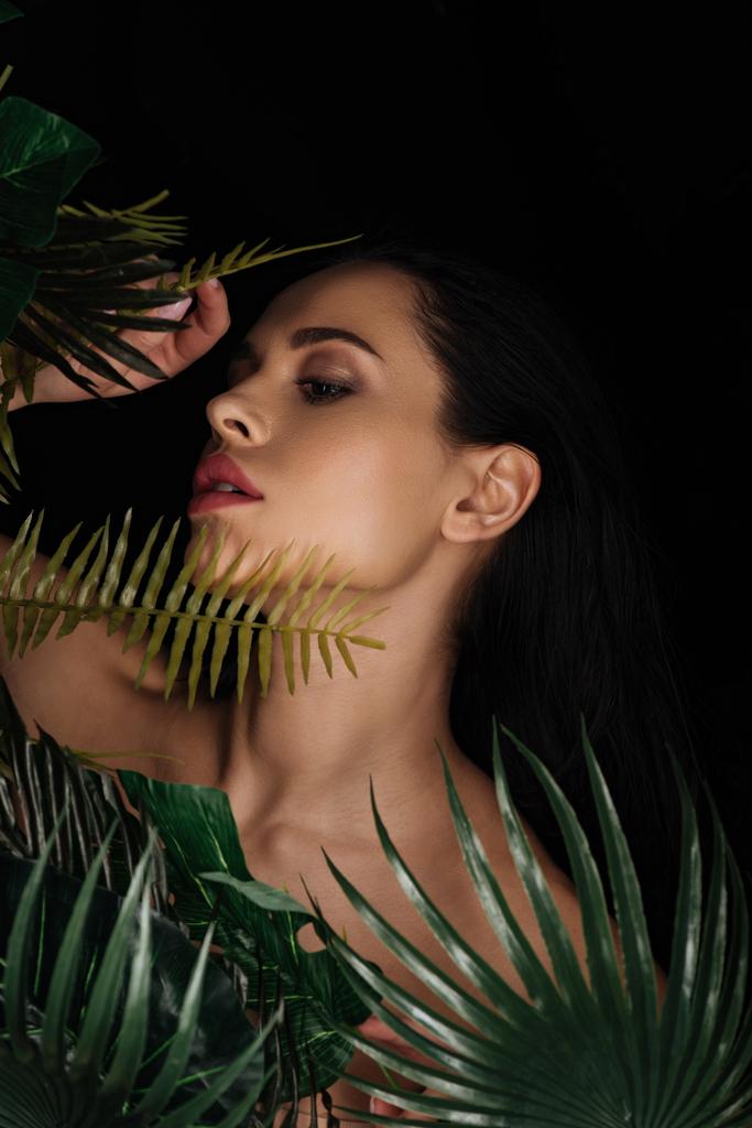 Sexy girl with green leaves isolated on black - Photo, Image