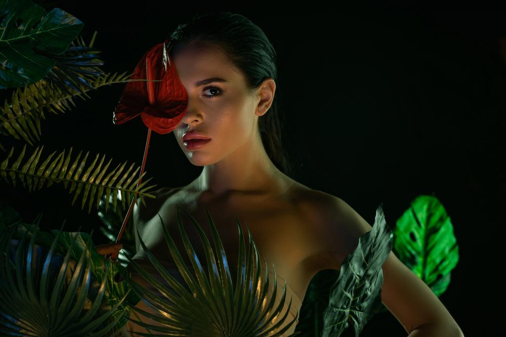 Σέξι κορίτσι κοντά σε φύλλα που καλύπτουν το πρόσωπο με κόκκινο ανθούριο και κοιτάζοντας κάμερα απομονωμένη σε μαύρο - Φωτογραφία, εικόνα