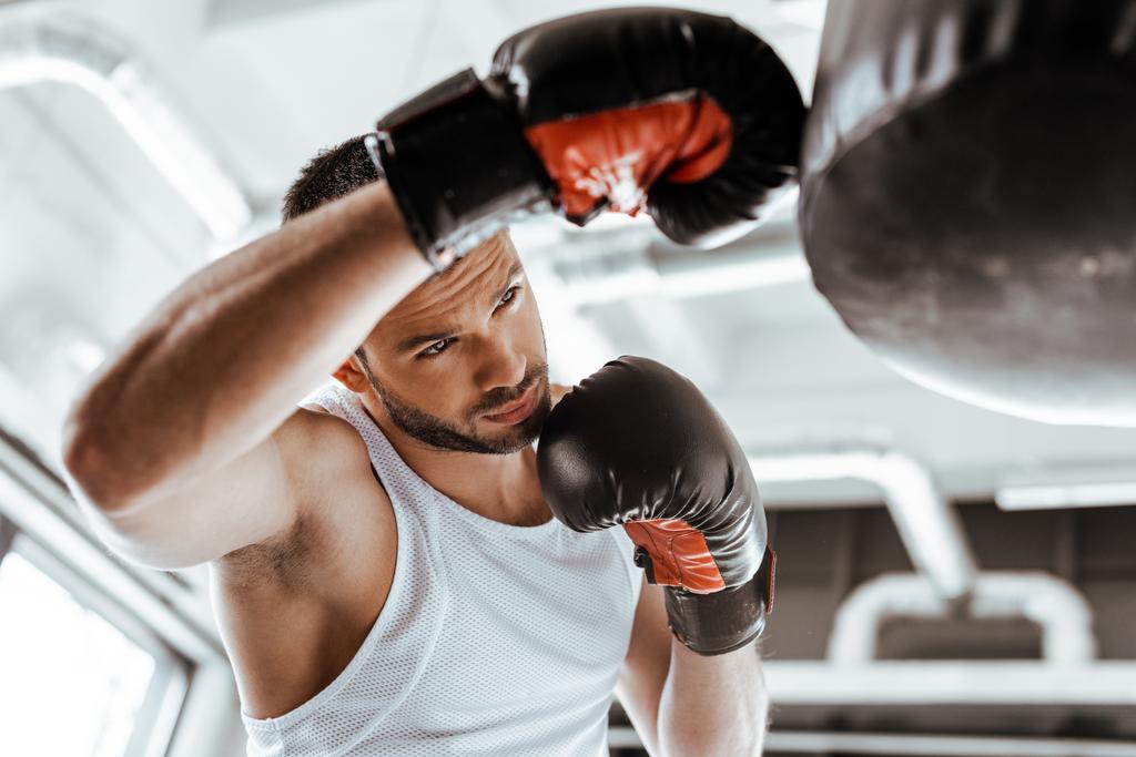 パンチバッグ付きボクシンググローブトレーニングのハンサムなスポーツマンの選択的な焦点   - 写真・画像