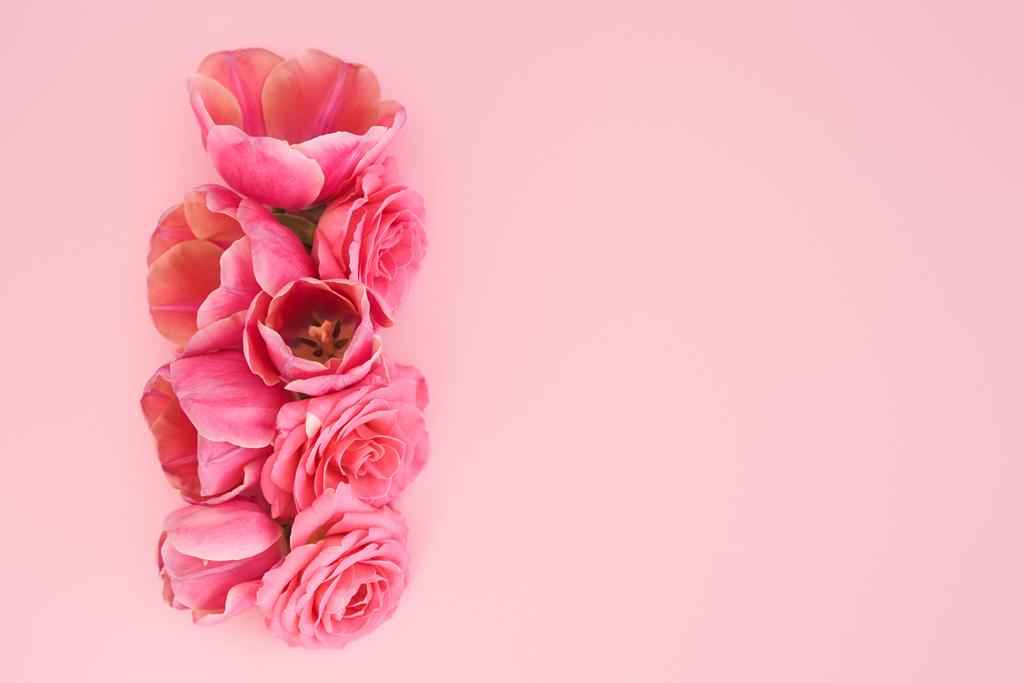 Draufsicht auf rosa Rosen und Tulpenknospen auf rosa Hintergrund mit Kopierraum - Foto, Bild
