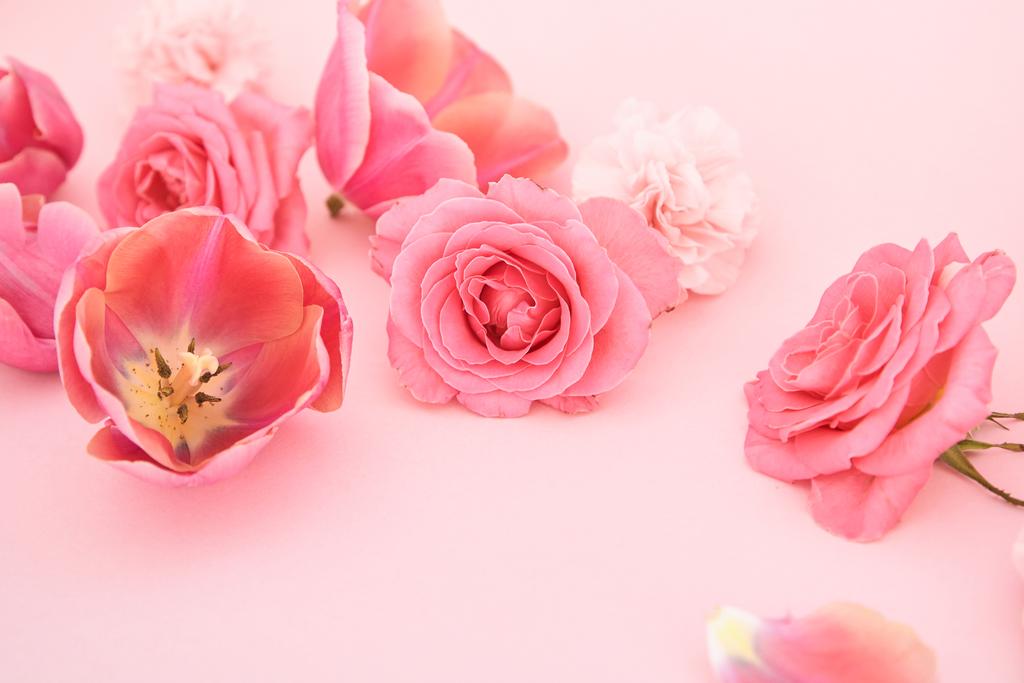 ピンクの背景に春の花を咲かせ - 写真・画像