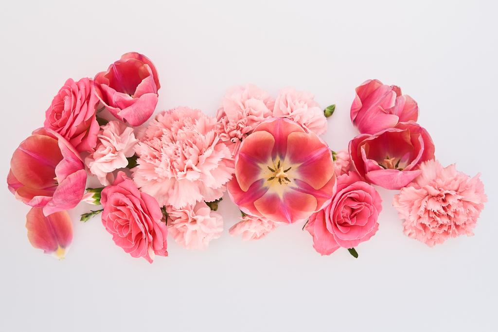白い背景にピンクの春の花のトップビュー - 写真・画像