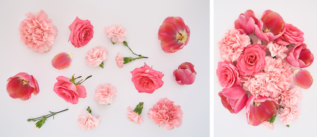 kollázs rózsaszín tavaszi virágok szétszórva fehér háttér - Fotó, kép