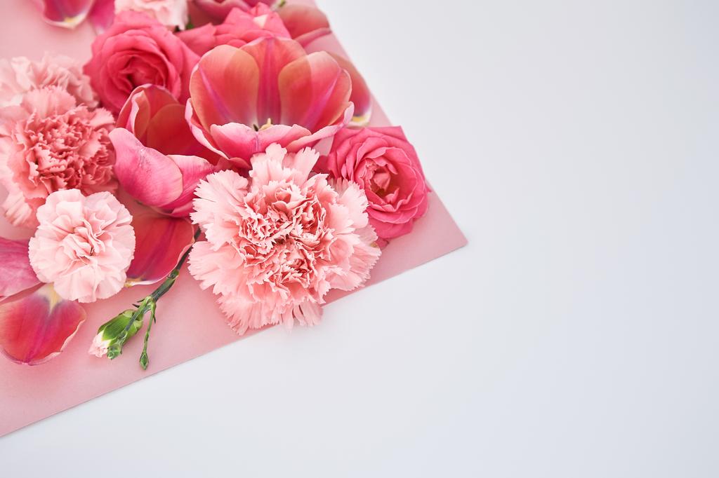 bovenaanzicht van rozen, tulpen en anjers op roze en witte achtergrond - Foto, afbeelding