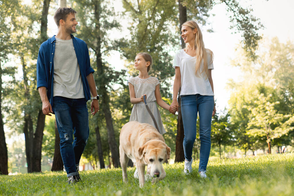 Longitud completa de linda niña sonriente y sus padres caminando en el parque con el perro y mirándose mutuamente
 - Foto, Imagen