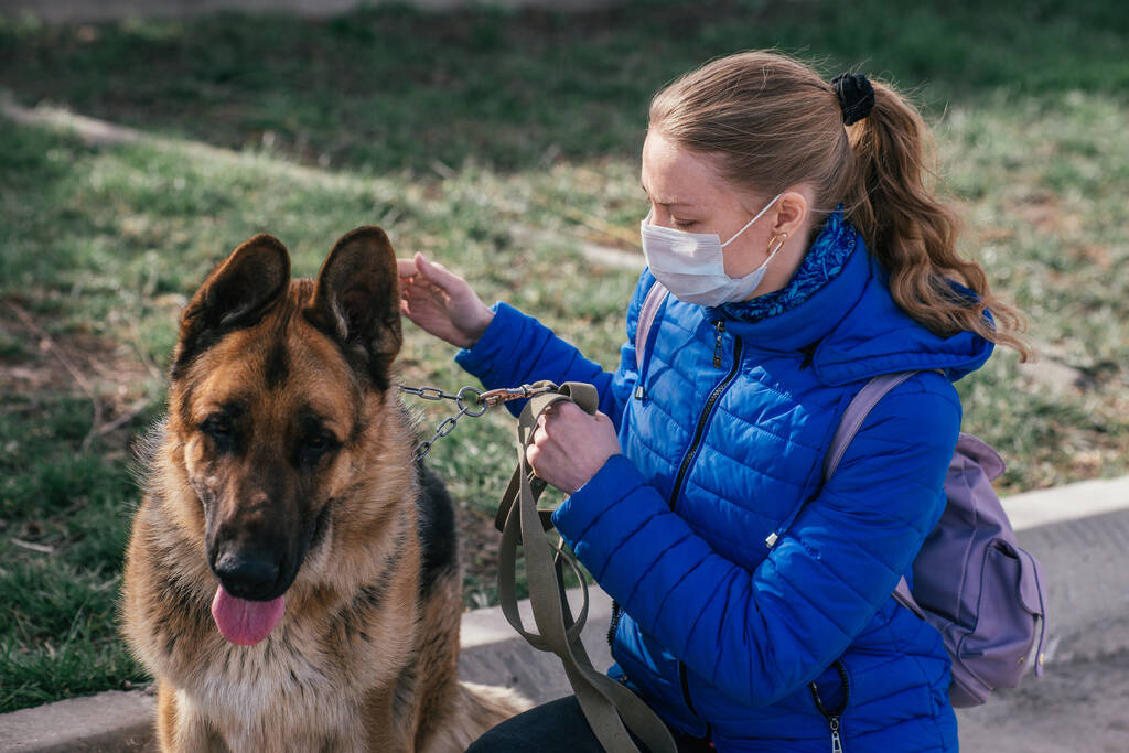 Koruyucu tıbbi maskeli bir kız sokakta bir köpeği gezdiriyor. Karantina sırasında bir evcil hayvanla vakit geçirmek. Temiz havada bir Alman çobanla yürüyün. Kişisel izolasyon ve koruma modu - Fotoğraf, Görsel