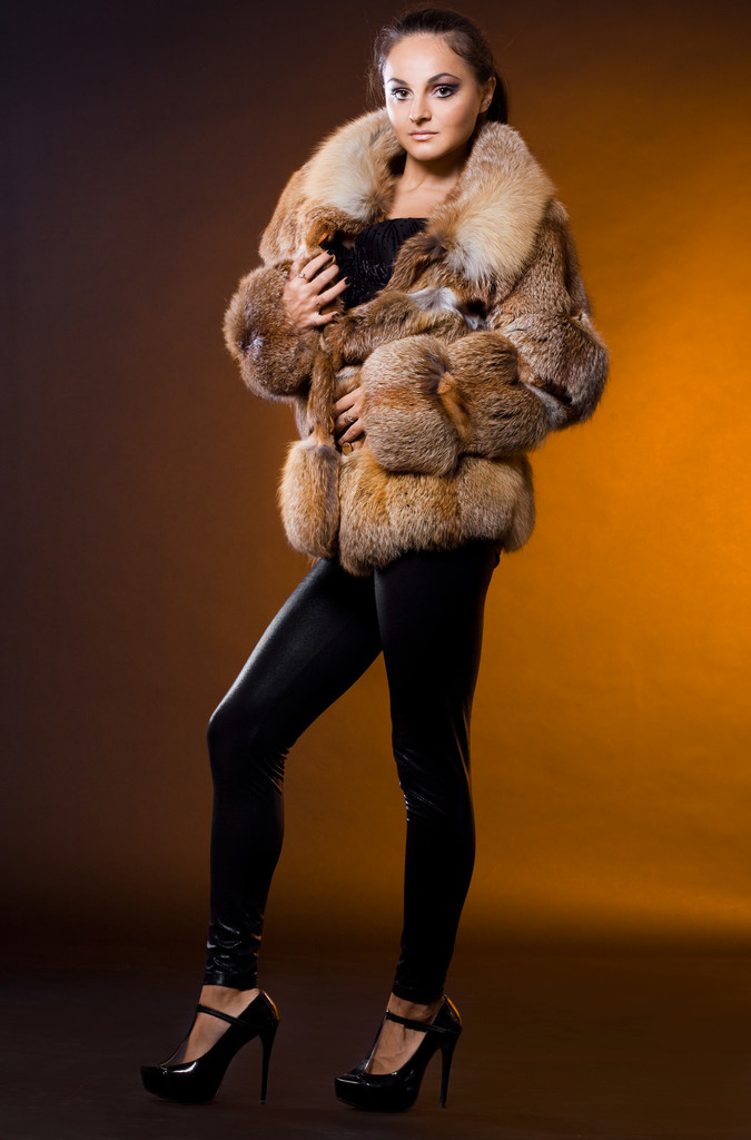 belle femme en manteau de fourrure - Photo, image