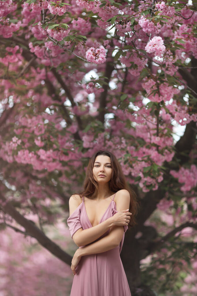 自然の中で桜の木を開花させる女性 - 写真・画像