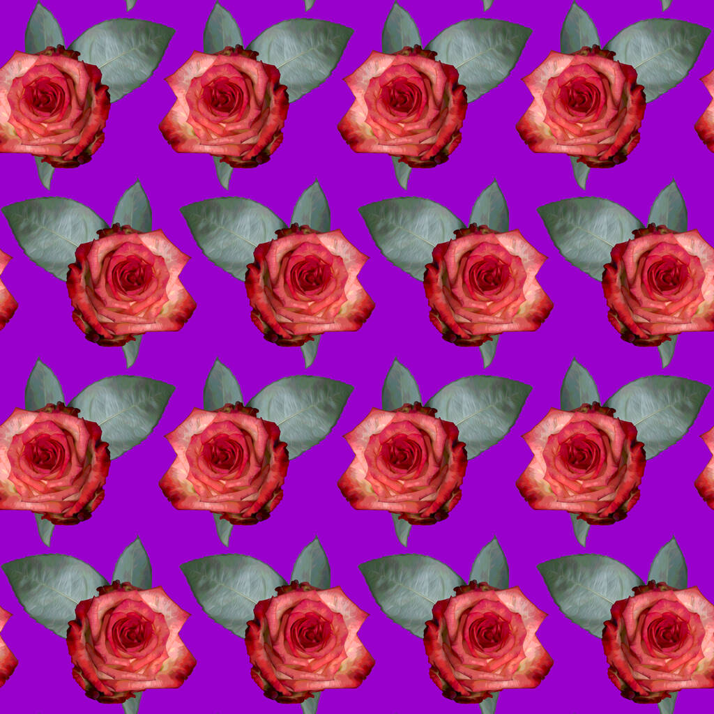Bezproblémový vzor s růžovými květy růží a zelenými listy na purpurovém pozadí. Nekonečná barevná květinová textura. Rastrová ilustrace. - Fotografie, Obrázek