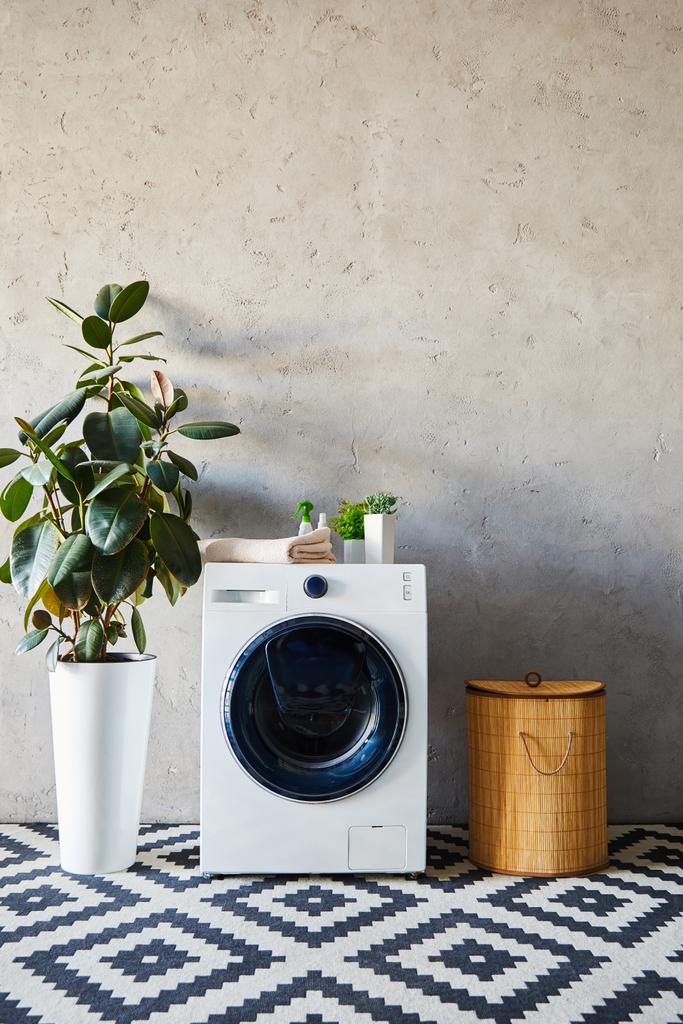 wasmachine in de buurt van planten flessen, handdoek en wasmand in moderne badkamer  - Foto, afbeelding