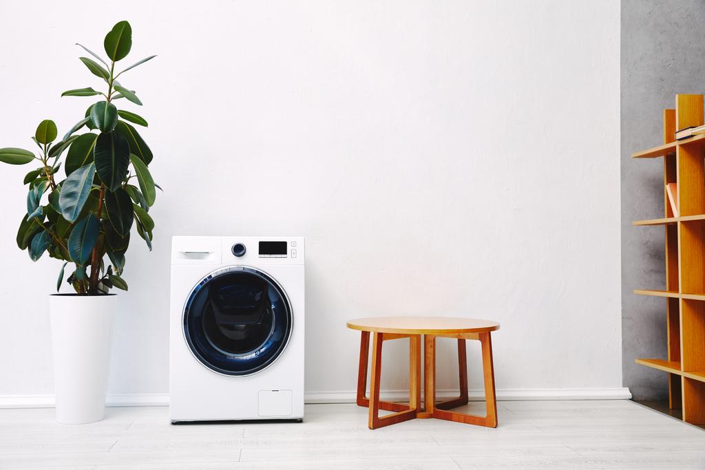 planta verde perto de máquina de lavar roupa moderna e mesa de café de madeira no banheiro
  - Foto, Imagem