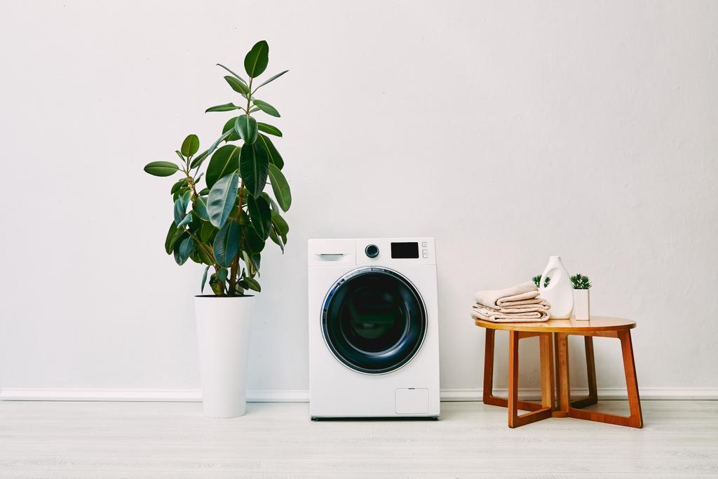 green plant near modern washing machine, coffee table with towels and detergent bottle in bathroom  - Photo, Image
