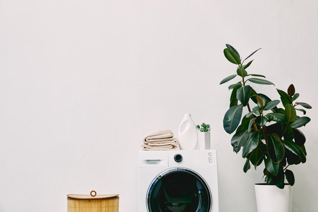 garrafa de detergente e toalhas na máquina de lavar roupa perto de cesta de lavandaria e planta verde no banheiro
  - Foto, Imagem