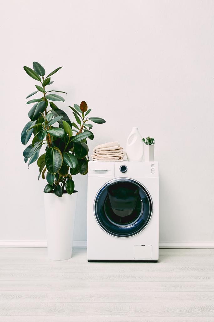 modernes und weißes Badezimmer mit Pflanzen in der Nähe von Waschmittelflaschen und Handtüchern auf Waschmaschine - Foto, Bild