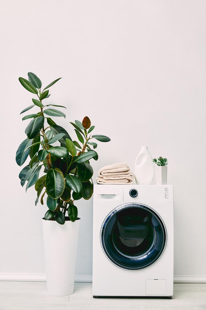 salle de bain moderne avec plantes vertes, bouteille de détergent et serviettes sur machine à laver
  - Photo, image