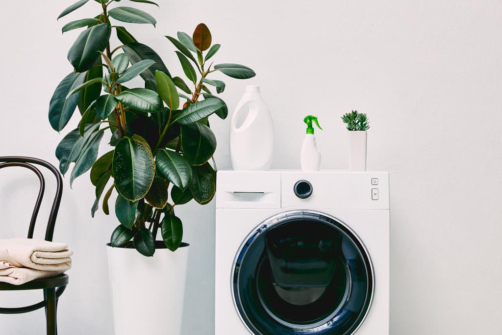 зелені рослини біля сучасної пральної машини з пляшками біля стільця з рушниками у ванній
  - Фото, зображення