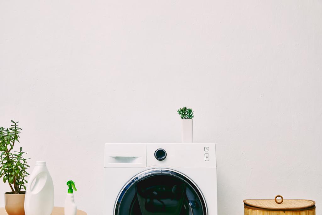grüne Pflanze und Flaschen auf Couchtisch neben Waschmaschine und Wäschekorb im Badezimmer  - Foto, Bild
