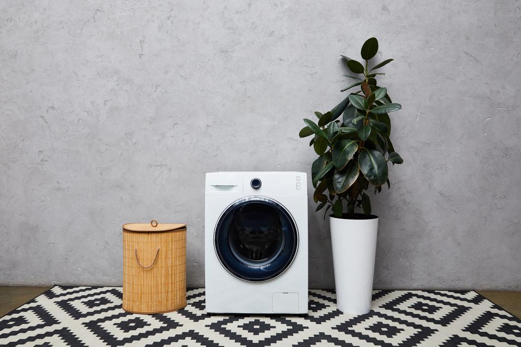 lavadora cerca de planta verde, cesta de lavandería y alfombra ornamental en baño moderno
  - Foto, Imagen