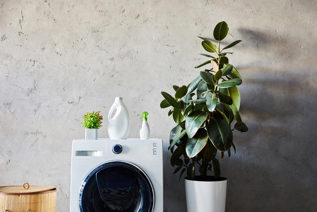 butelki detergentu i spray na białej pralce w pobliżu roślin, kosz na pranie i ozdobny dywan w nowoczesnej łazience  - Zdjęcie, obraz